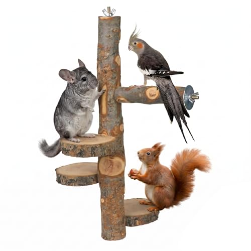 Chinchilla Large Hanging Wooden Rotating Platform