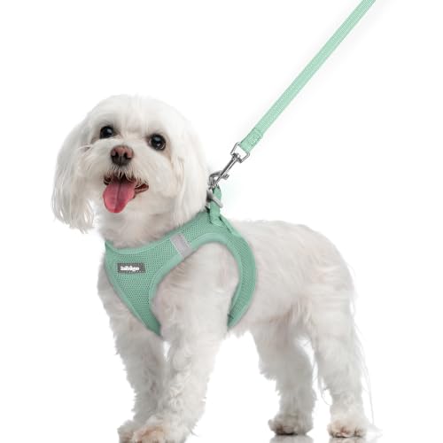 Dog Harness Medium Sized and Leash Set (Moss Green / M (chest: 16 - 18.5"))