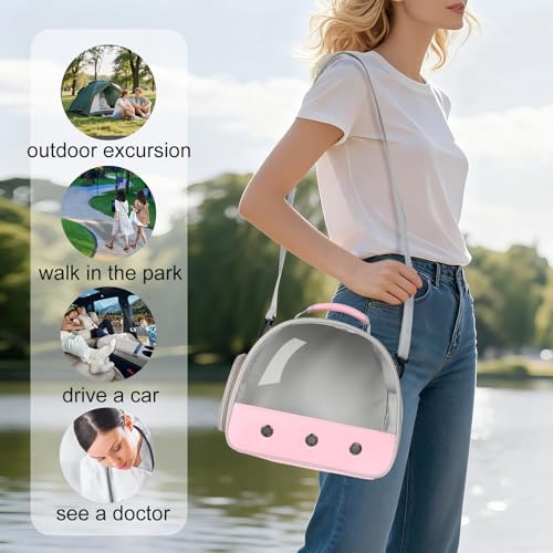 Bearded Dragon Carrier (Pink)