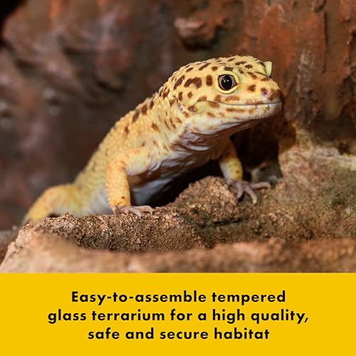 QuickBuild Reptile 65 Gallon Glass Terrarium (36x18x18)
