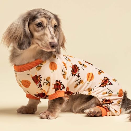 Thanksgiving Turkey Dog Pajamas (Turkey / Large)