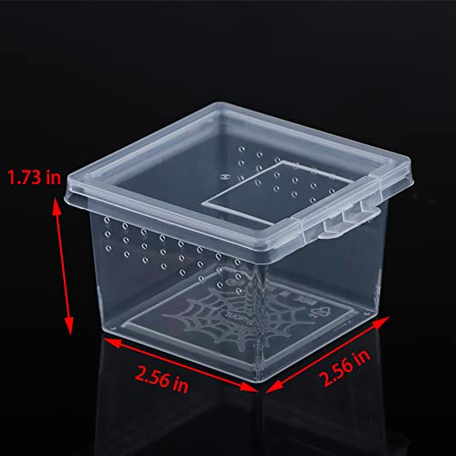 10 Pcs Insect Spider Terrariums Breeding Box Hatching Container Small Reptile Scorpion Centipede Acrylic Breeding Box