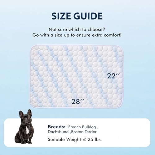 Summer Cooling Mat & Sleeping Pad (28" x 22" / Blue White)