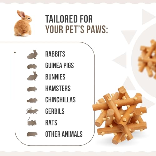 Wooden Chewing Toy for Small Animals (Colorless)