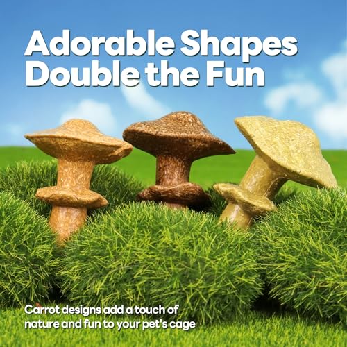 3PCS Guinea Pig Chew Toys (3PCS-Mushrooms)
