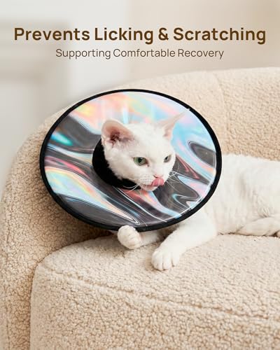 Soft Cat Cone Collar (Stellar Wanderer / M)