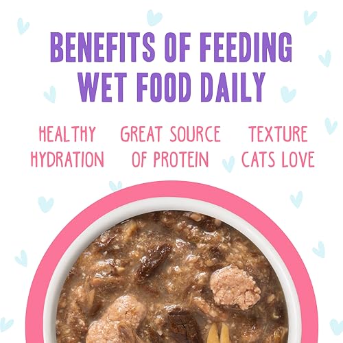 B.F.F. OMG Best Feline Friend Oh My Gravy! (2.8 Ounce (Pack of 12))
