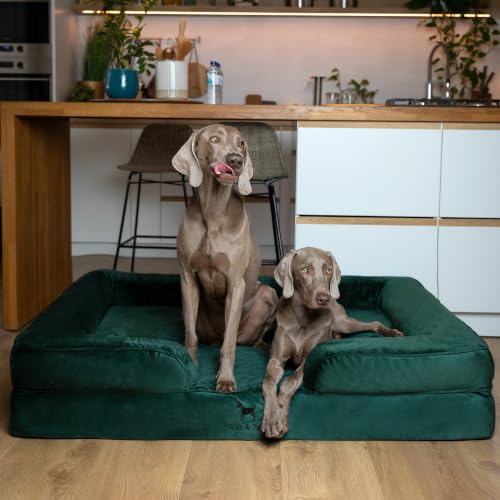 XXL Dog Bed Orthopedic Memory Cooling Foam (Dark Green - VE / XX-Large)