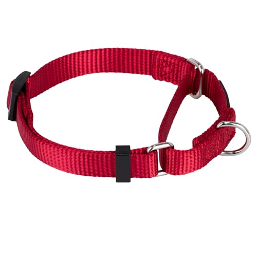 Martingale Dog Collar (Small / Red)