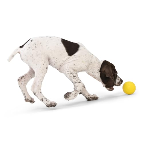 Boundr Ball Dog Fetch Toy (Small (Pack of 2) / Aqua Blue/Dandelion)