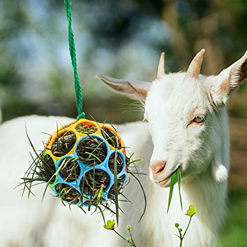 2 Pack Horse Treat Ball Hay Feeder Toy (Colorful)