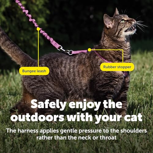 Come with Me Kitty Harness and Bungee Cat Leash (Large (Pack of 1) / Dusty Rose)