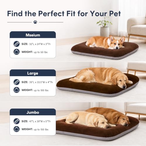 Orthopedic Medium Dog Bed 32 Inch (32.0"L x 24.0"W x 3.0"Th / Dark Brown)
