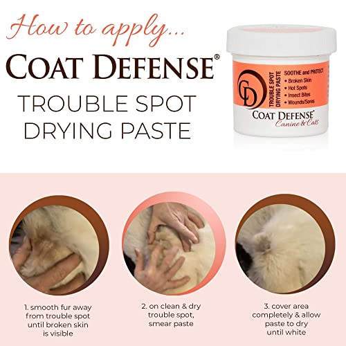 Trouble Spot Drying Paste