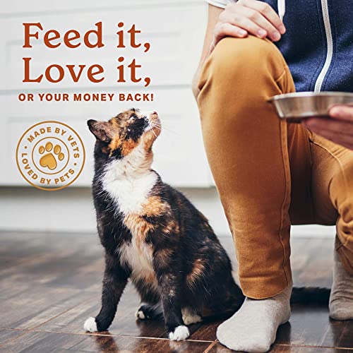 Digestion Superfood Supplement Powder for Dogs & Cats