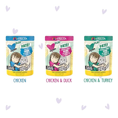 B.F.F. Play Best Feline Friend Paté Lovers (3 Ounce (Pack of 12))