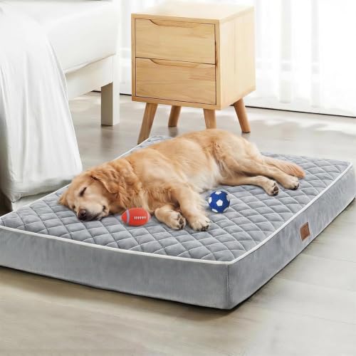 Orthopedic Waterproof Extra Large Senior Dogs Bed for Comfy Sleep (Light Grey / 42"L x 30"W x 4"Th)