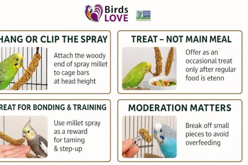 2lbs French Kissed Spray Millet for Birds (2lb)