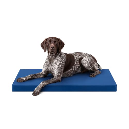 Tough Ripstop Orthopedic Crate Bed (Large (41" L x27" W x 3" H) / Blue Quartz)