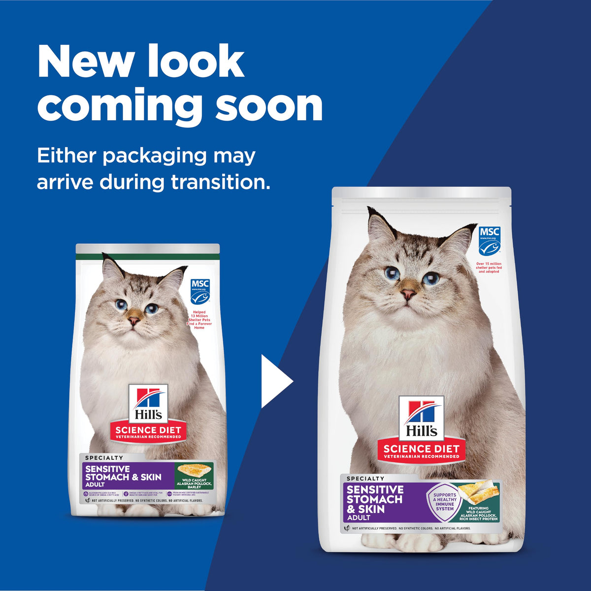 Sensitive Stomach & Skin Dry Cat Food (3.5 Pound (Pack of 1))