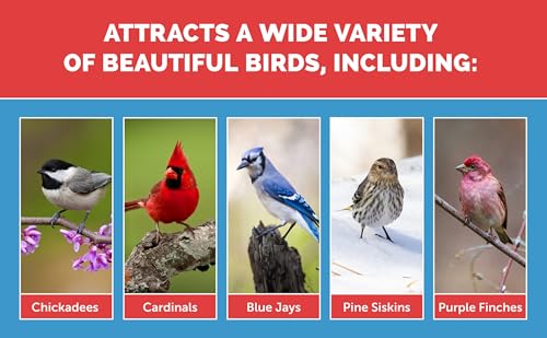 Select Birder's Blend (15 Pound (Pack of 1))