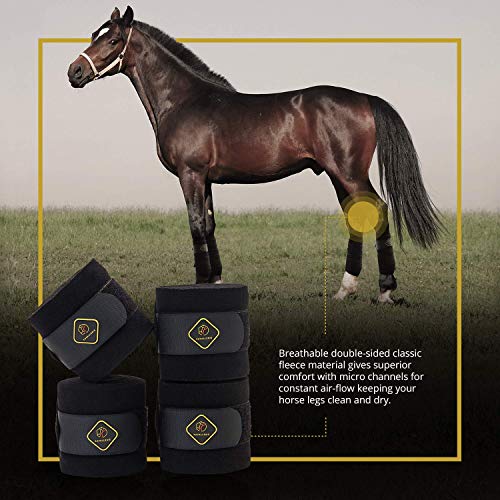Classic Bandage for Horses (4 Pack / Black)