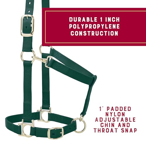 Nylon Horse Halter (Hunter Green / 1" Large Horse)