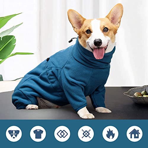 XS Dog Winter Coat (XS / Turquoise)