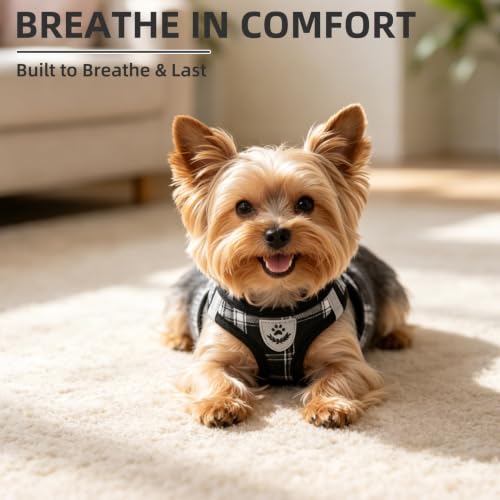 Dog Harness Collar and Leash Set No Pull for Small Medium Sized (Black / S (CHEST 14.5"-16"))