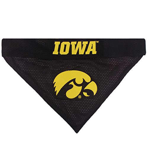 Collegiate Pet Accessories (Large/X-Large / Iowa Hawkeyes)