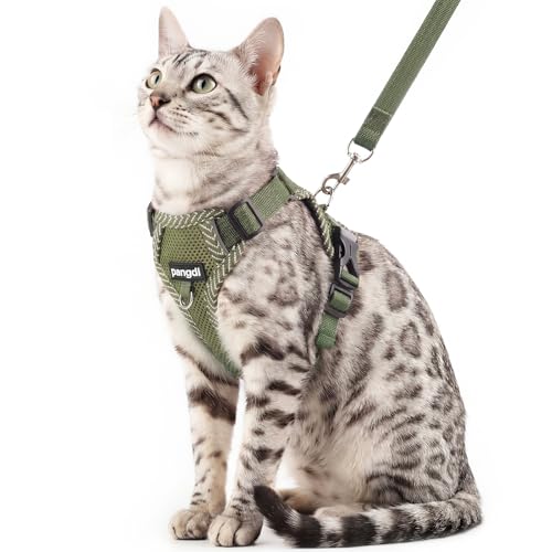 Cat Harness and Leash Set (Dark Green / XX-Large)