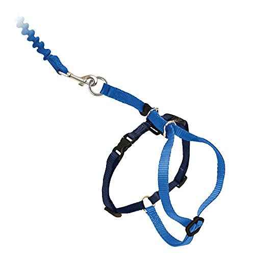 Come with Me Kitty Harness and Bungee Cat Leash (Medium (Pack of 1) / Royal Blue)