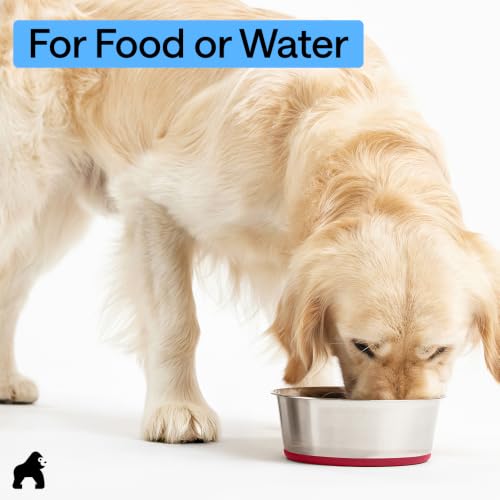 Dog Bowl Food Grade Stainless Steel Water Bowls (Red / 8 Cup - Single Bowl)