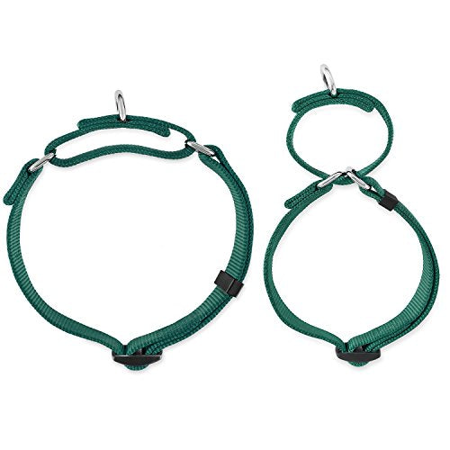 Martingale Collar for Dogs (Large / Dark Green)