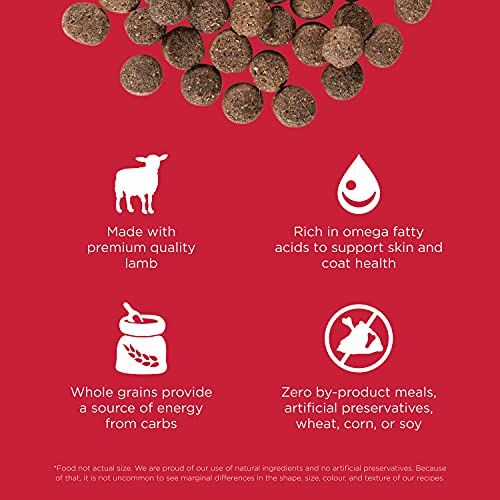 Skin + Coat Care Lamb Dry Dog Food (3.5 Pound (Pack of 1))