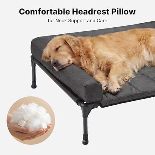 Outdoor Elevated Dog Bed with Waterproof Bolster Cushion (Black / 53.0"L x 37.5"W x 9.0"Th)