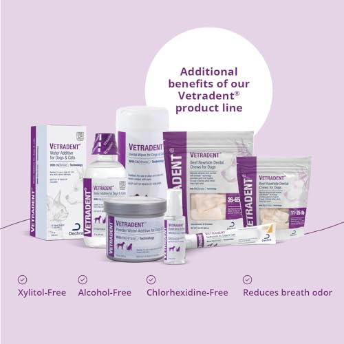 Dental Wipes 60 ct (60ct / White)