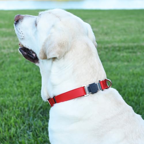 Biothane Waterproof Dog Collar with Herm Sprenger Stainless Steel Quick Release Buckle (W 1" x L 15"-25" / Cherry Red)