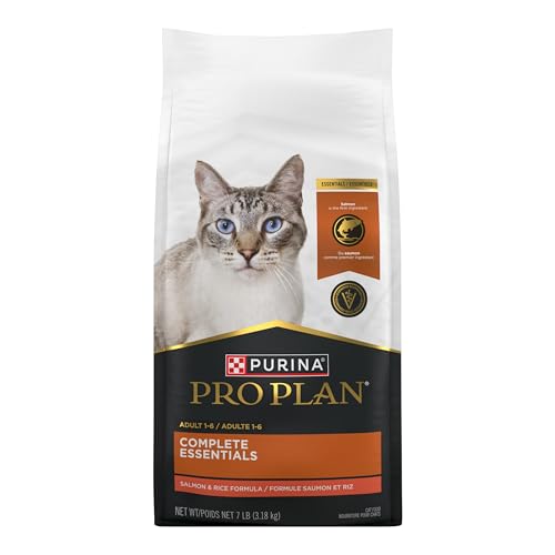 High Protein Dry Cat Food (7 Pound (Pack of 1))
