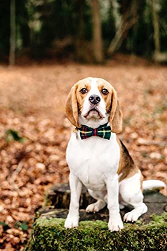 Christmas Dog Collar with Bowtie Durable Adjustable Handmade Comfortable Bow Tie Dog Collar Cat Collar Green with Metal Buckle for XXS Cats (XX-Small (Pack of 1) / Green Tartan)