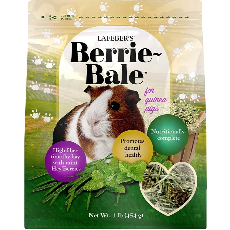 Berrie Bale Mint for Guinea Pigs 1 lb
