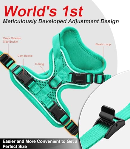 Cat Harness and Leash for Walking Escape Proof Soft Adjustable Cat Leash (Emerald / M (13-18lb))