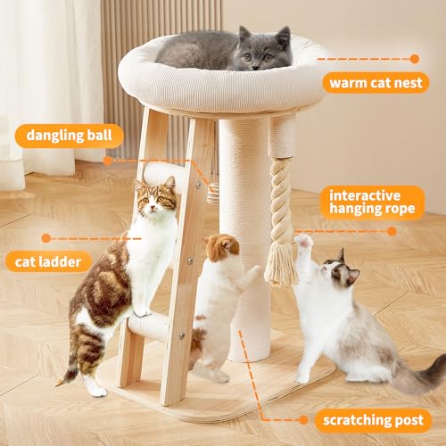Modern Cat Tree Small Tower with Scratching Post for Indoor (with Ladder)
