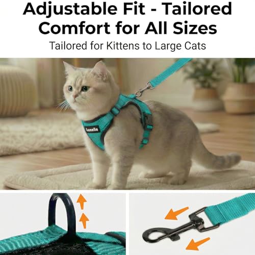 2 Pack Escape (Lake Blue / XS)
