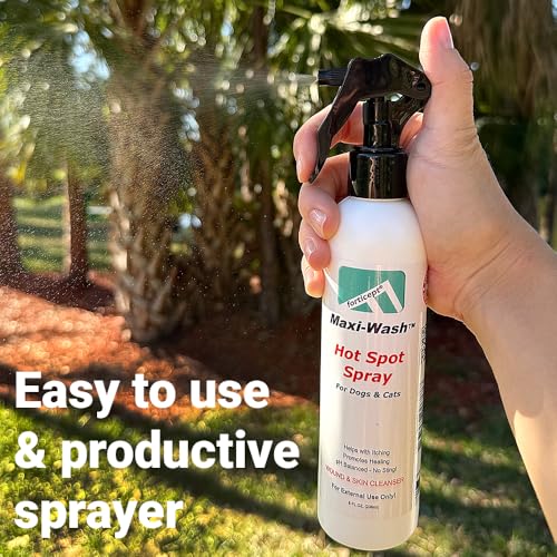 Maxi Wash Hot Spot Cleansing Spray Treatment