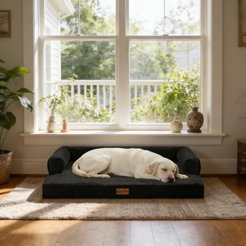Orthopedic Washable Dog Bed for Large Dogs (Black / 36.0"L x 27.0"W x 7.0"Th)