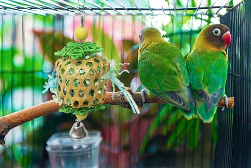 Bird Toys for Conures Parakeet (BellBall)