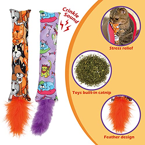 2 Pack Natural Interactive Catnip Cat Kicker with Feathers