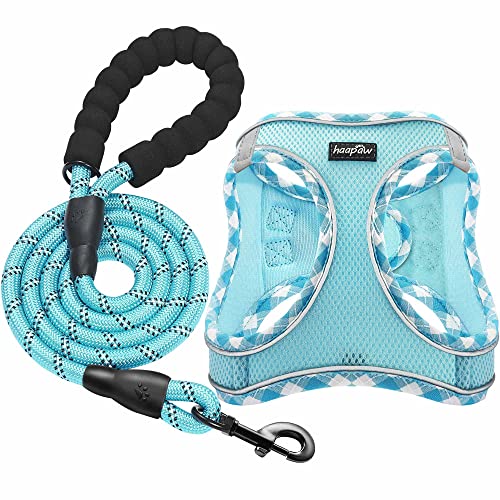Dog Harness with Leash Set (XS / Turquoise)