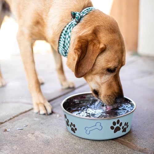 Bella Dog Bowls (Murano Blue / X-Large (65-100lbs))